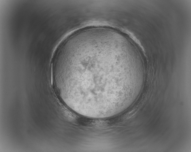 X0000074971175200609221815