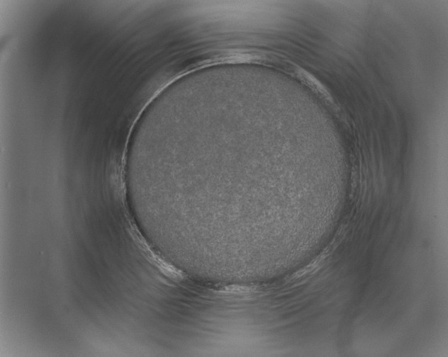 X0000074971178200609221815