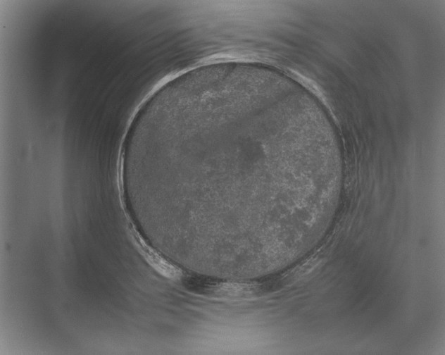 X0000074971179200609221815