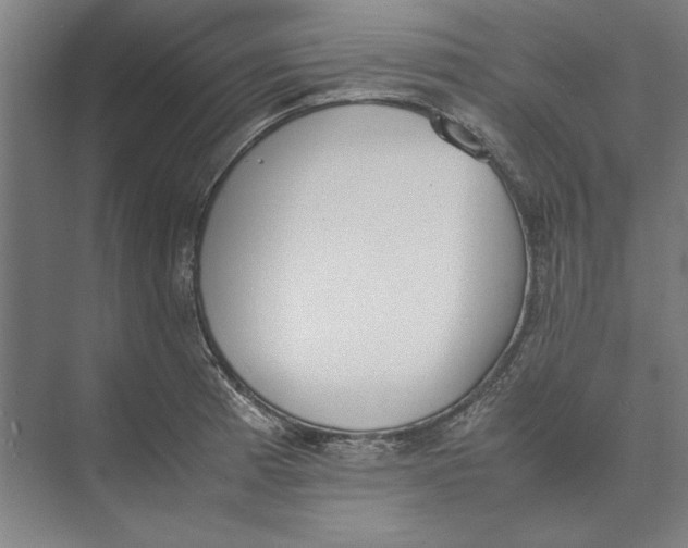 X0000074971185200609221815