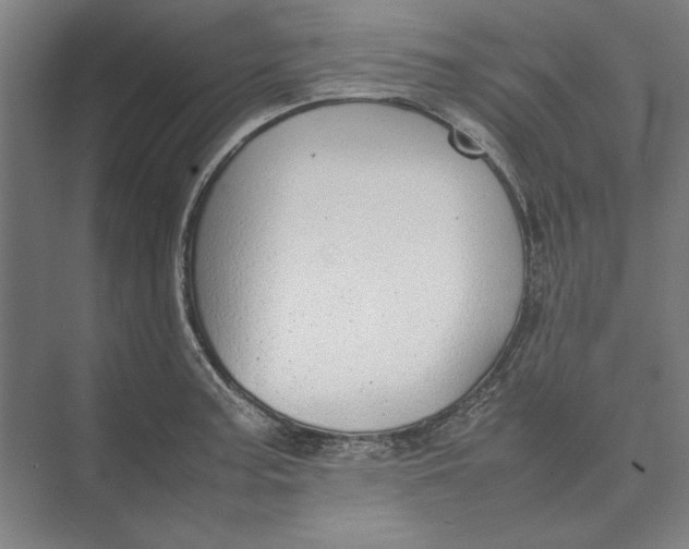 X0000074971187200609221815