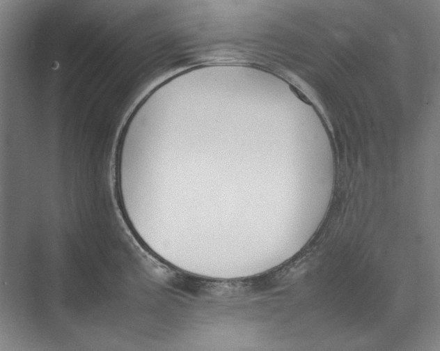 X0000074971195200609221815