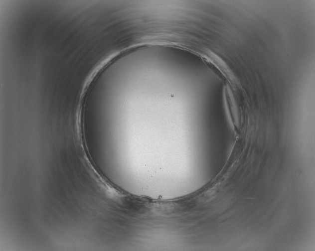 X0000074971196200609221815