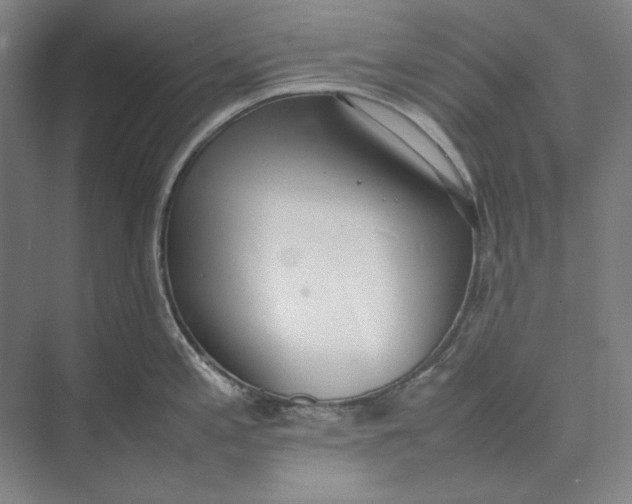 X0000074971197200609221815