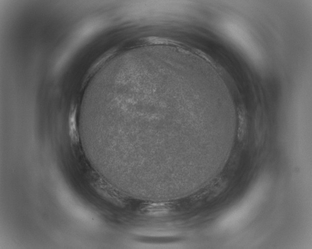 X0000074971198200609221815