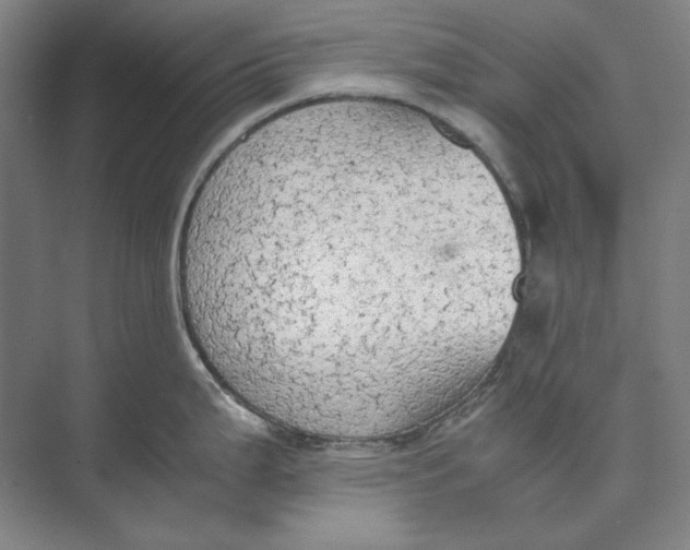 X0000074971199200609221815