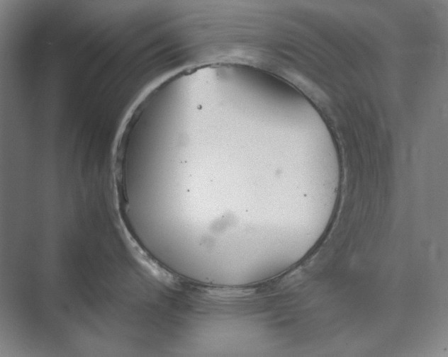 X0000074971200200609221815