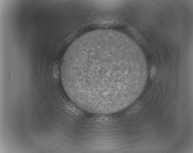 X0000074971204200609221814