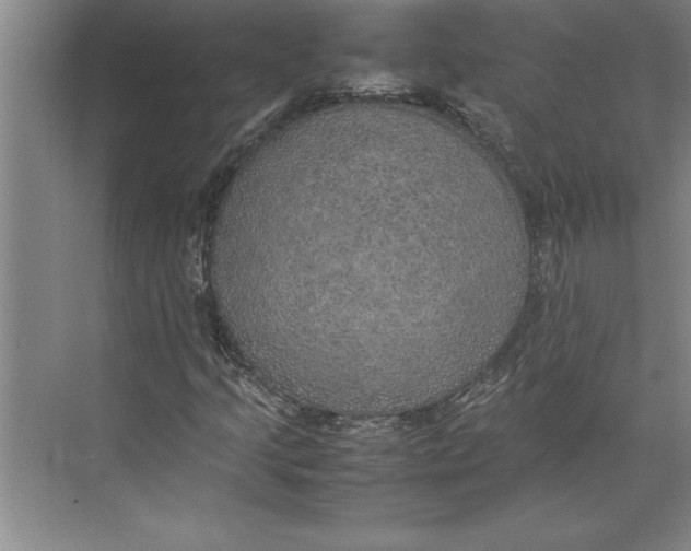 X0000074971205200609221814