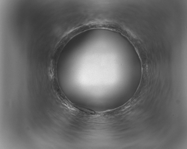 X0000074971206200609221814