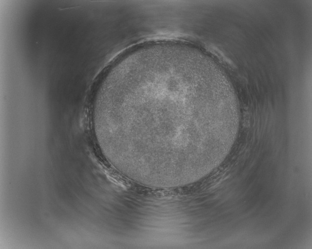 X0000074971208200609221814