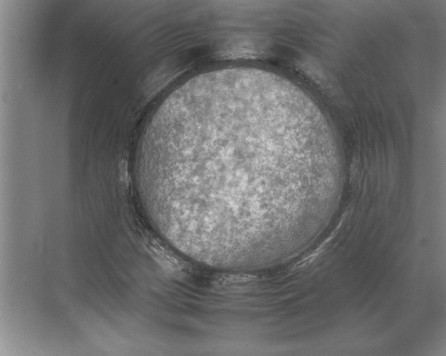 X0000074971209200609221814