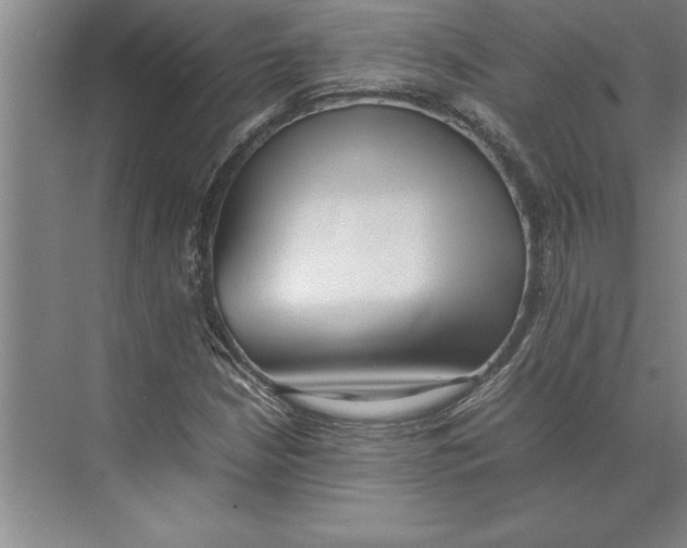 X0000074971210200609221814