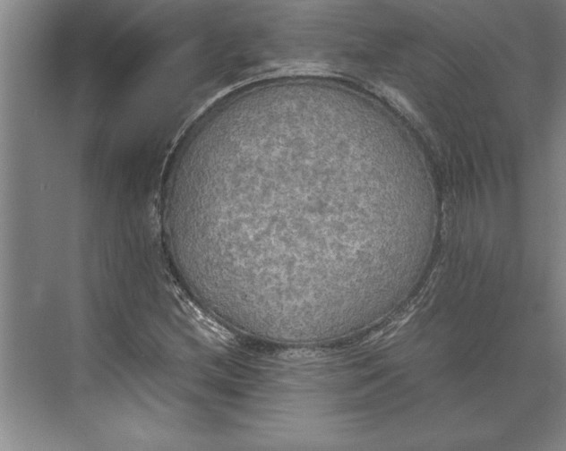 X0000074971212200609221814