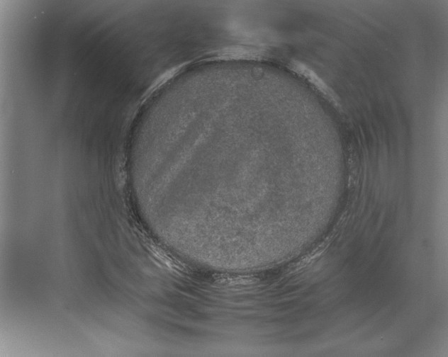 X0000074971213200609221814