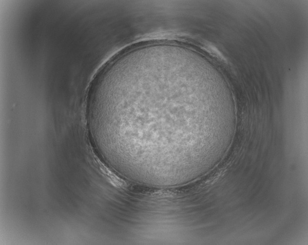 X0000074971216200609221814