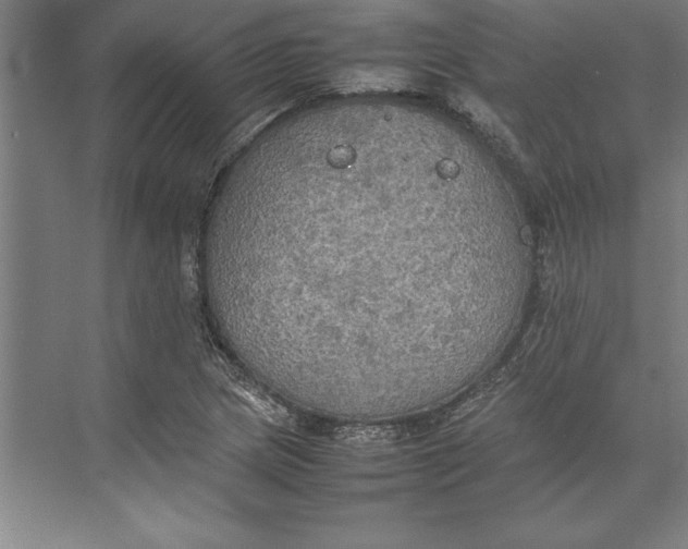 X0000074971217200609221814