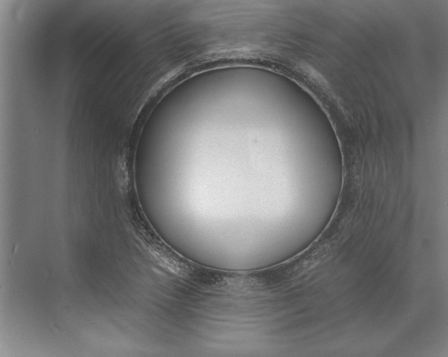 X0000074971218200609221814