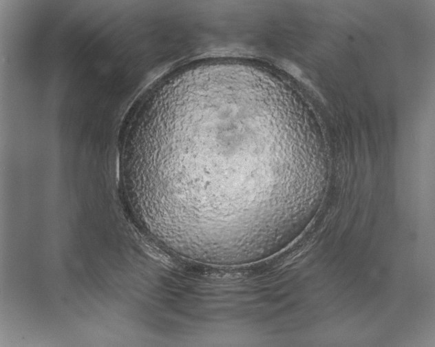 X0000074971221200609221814