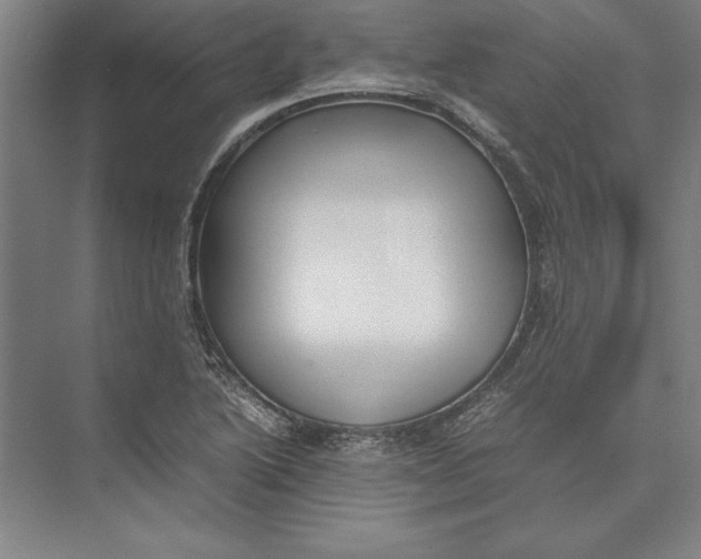 X0000074971222200609221814