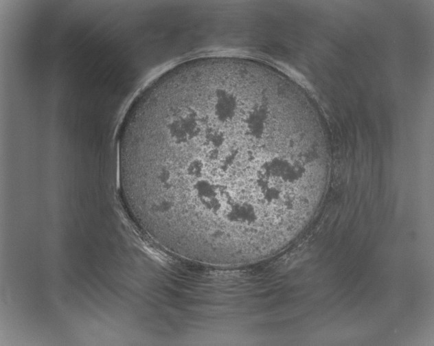 X0000074971223200609221814