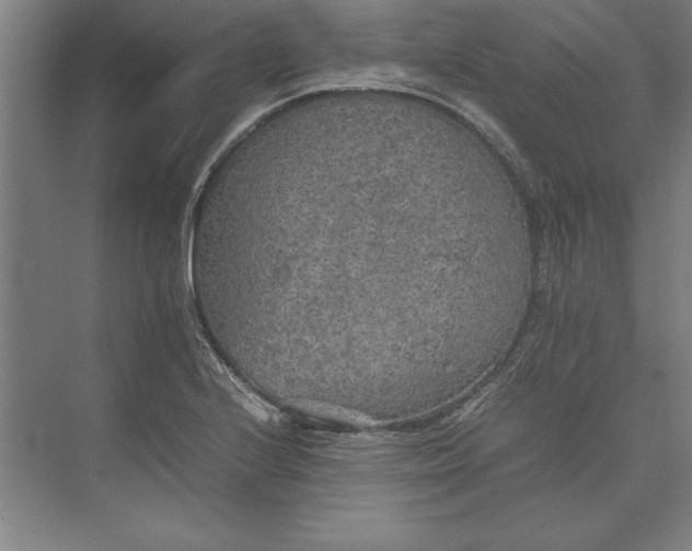 X0000074971224200609221814