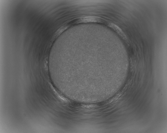 X0000074971225200609221814