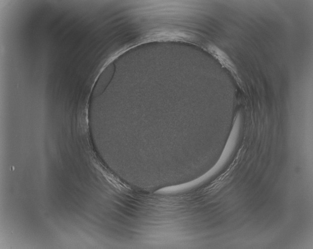 X0000074971226200609221814