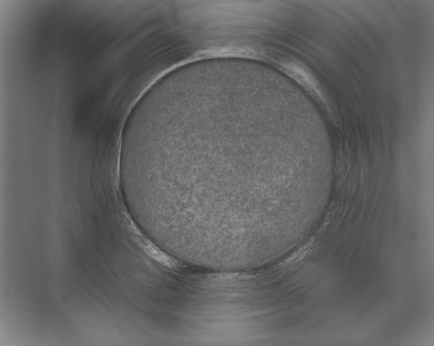 X0000074971228200609221814