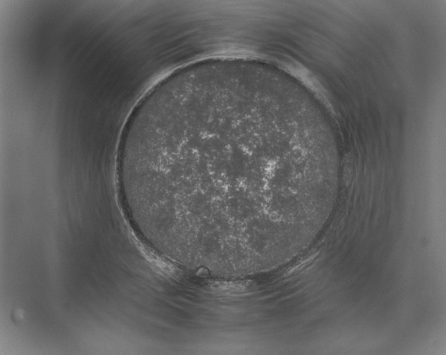 X0000074971229200609221814