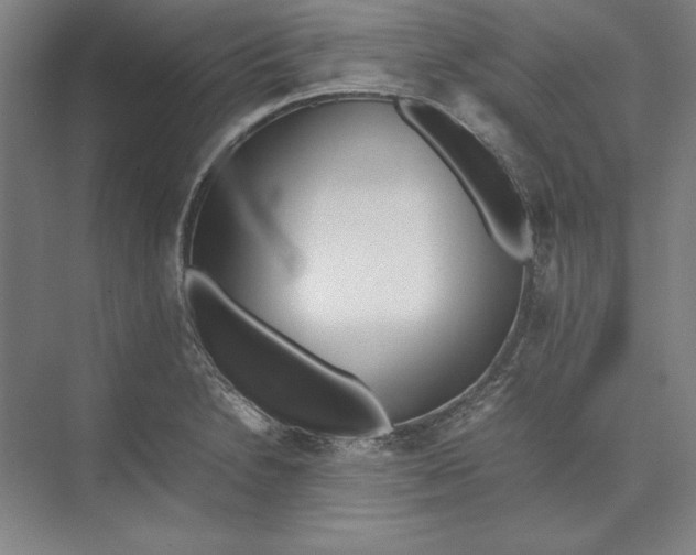 X0000074971230200609221814