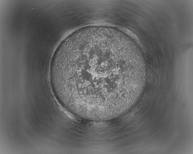 X0000074971231200609221814