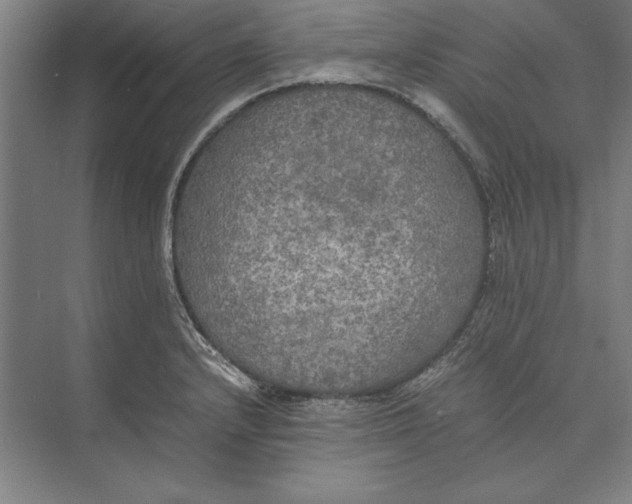 X0000074971232200609221814