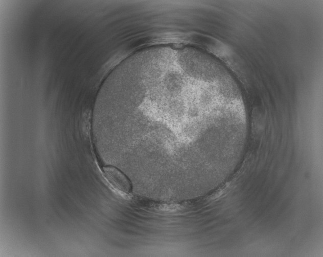 X0000074971233200609221814