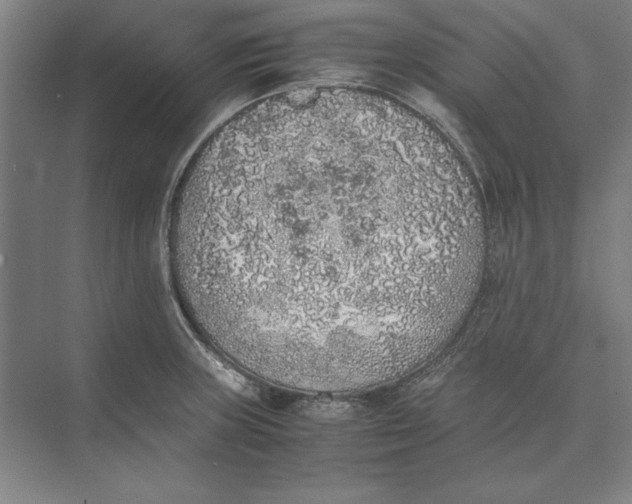 X0000074971235200609221814