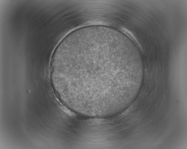 X0000074971236200609221814