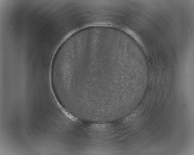 X0000074971237200609221814