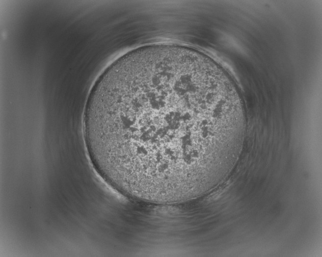 X0000074971239200609221814