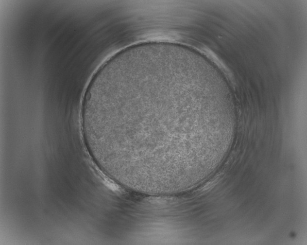 X0000074971240200609221814