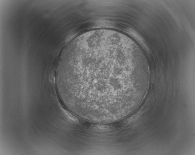 X0000074971241200609221815