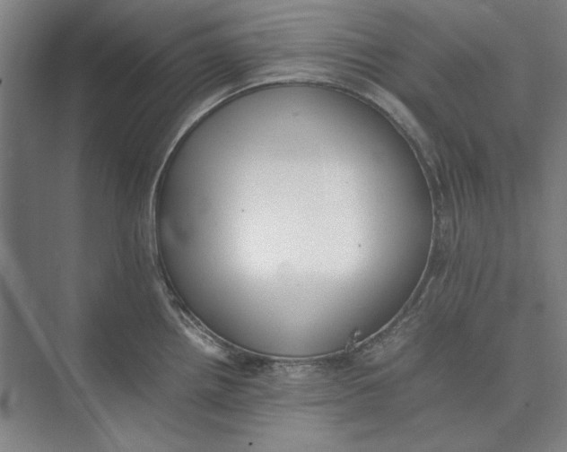 X0000074971242200609221815