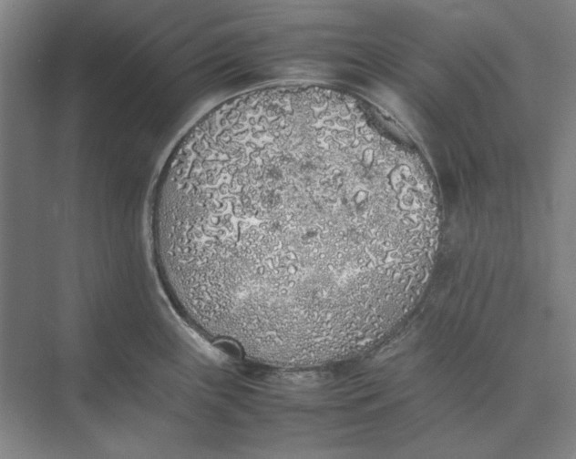 X0000074971243200609221815