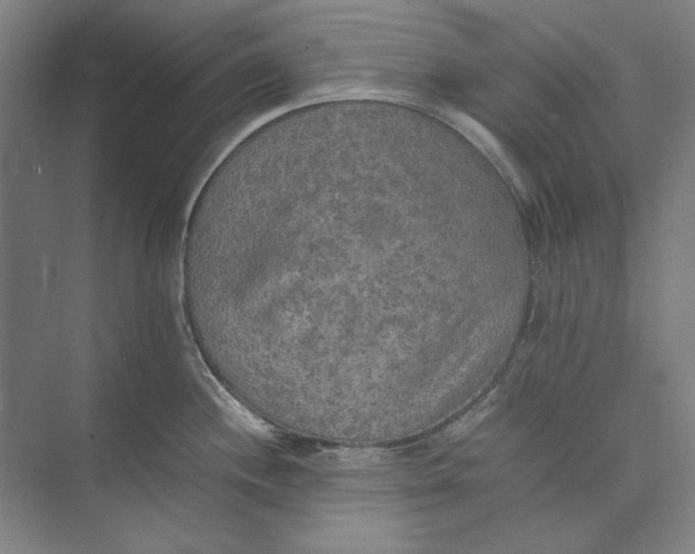 X0000074971244200609221815