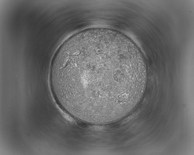 X0000074971245200609221815