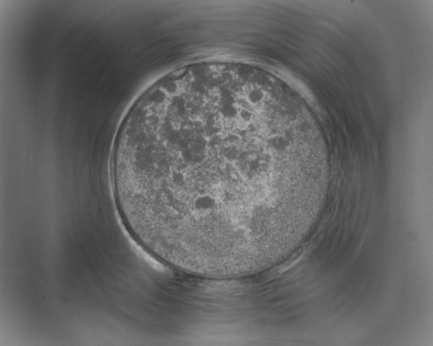 X0000074971247200609221815