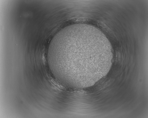 X0000074971250200609221814