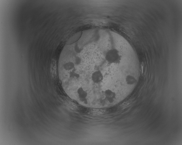 X0000074971251200609221814