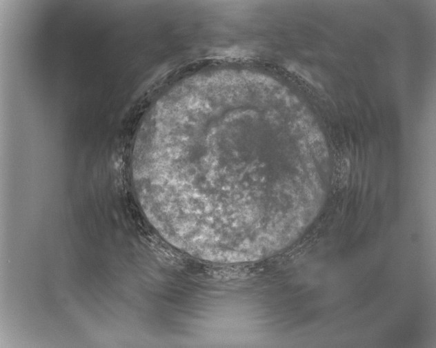 X0000074971254200609221814