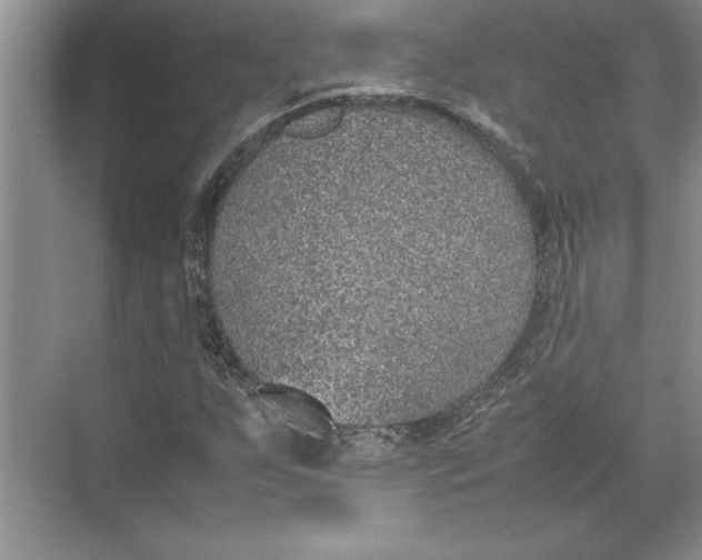 X0000074971255200609221814