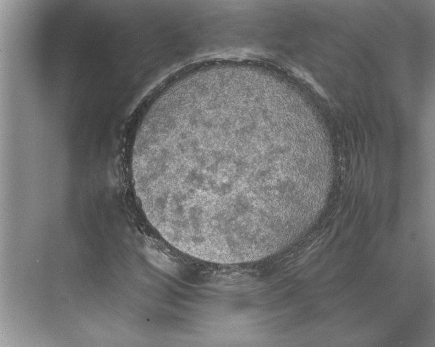 X0000074971256200609221814